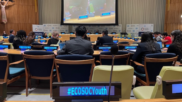 Speaking at UN