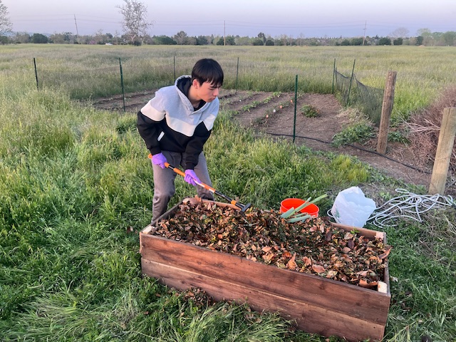 Composting the food