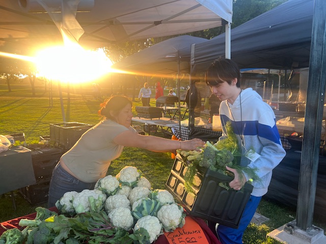 Our Collections from Dublin Farmers Market!